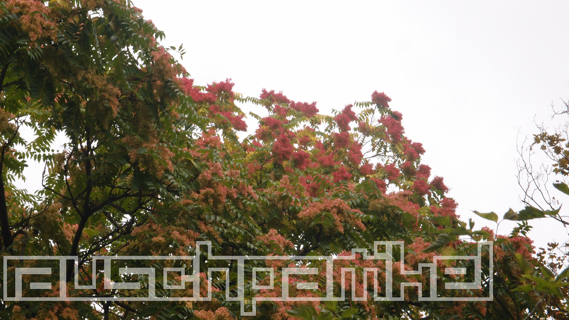 2021-08-29 Das Kleine Regen Rhythmus Orchester spielt 'autonome Beats' (Spiegel)